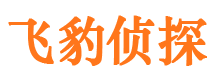 阜康侦探公司